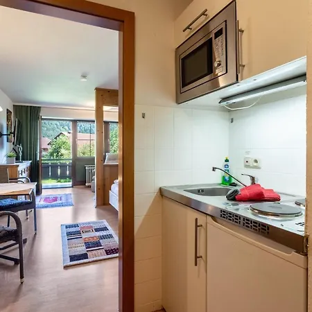 Appartement Bergblick *